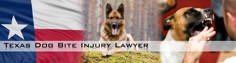 Texas Dog Bite Injury Lawyers